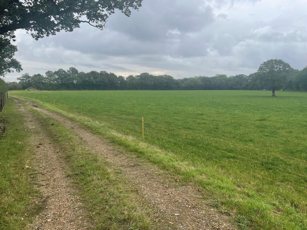 Lot: 94 - JUST OVER 33 ACRES OF FARMLAND IN STRATEGIC LOCATION - TO BE OFFERED FOR SALE BY PUBLIC AUCTION ON FRIDAY, 25TH OCTOBER 2024 - South easterly view of land from track